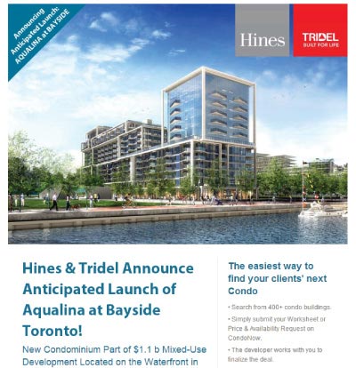 Condonow Email Template